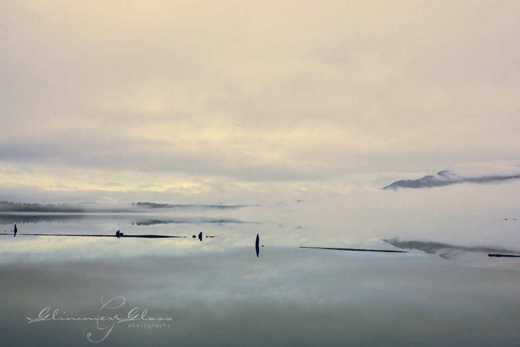 Foggy Morning on Lake Quinault